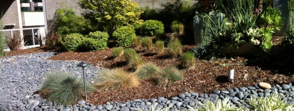 Low Impact Development