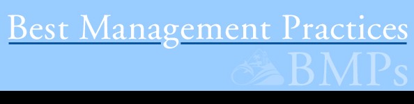 Best Management Practices For Business