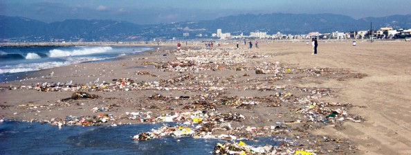 Learn the Grade of a Local Beach