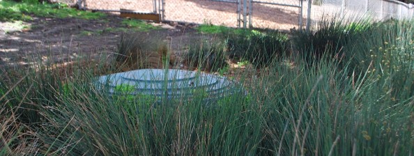 Westminster Dog Park