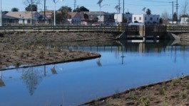 South Los Angeles Wetlands Park