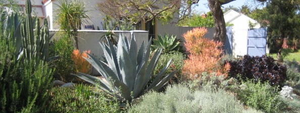 Standard Urban Stormwater Mitigation Plan