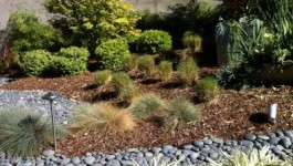 Learn about Low Impact Development (LID)