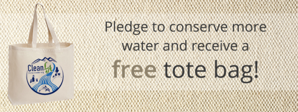 Water Conservation Pledge