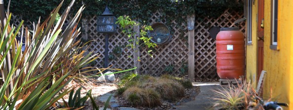 Rain Barrels and Cisterns