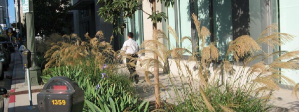 Green Infrastructure