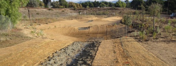 Hansen Dam Wetlands Restoration