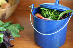 Compost.Bucket.elaine.faith