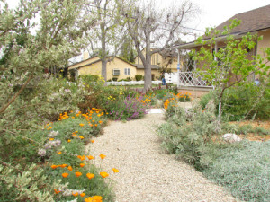 Green.Garden.Showcase.2.2013