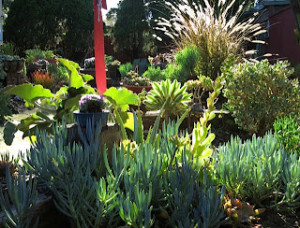 Green.Garden.Showcase.2013