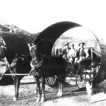 Aqueduct.Pine.Mules.cylinders