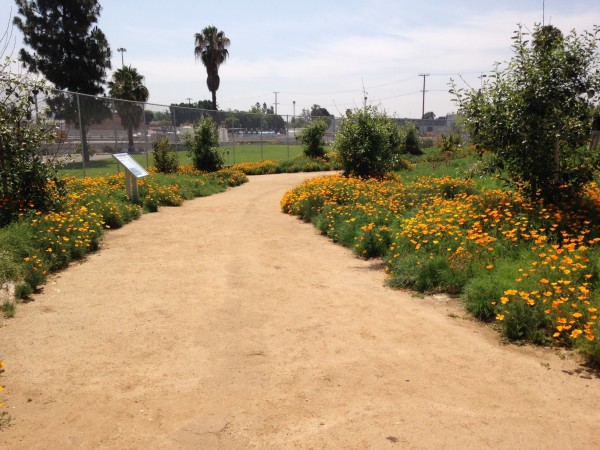 Pathway next to LA River