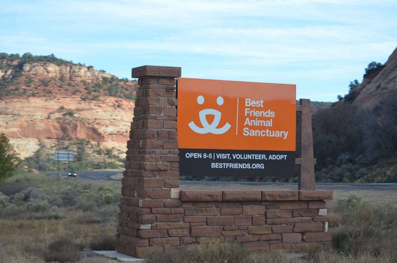 Welcome to Best Friends!