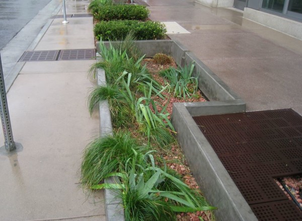 Planter.Rain.Garden