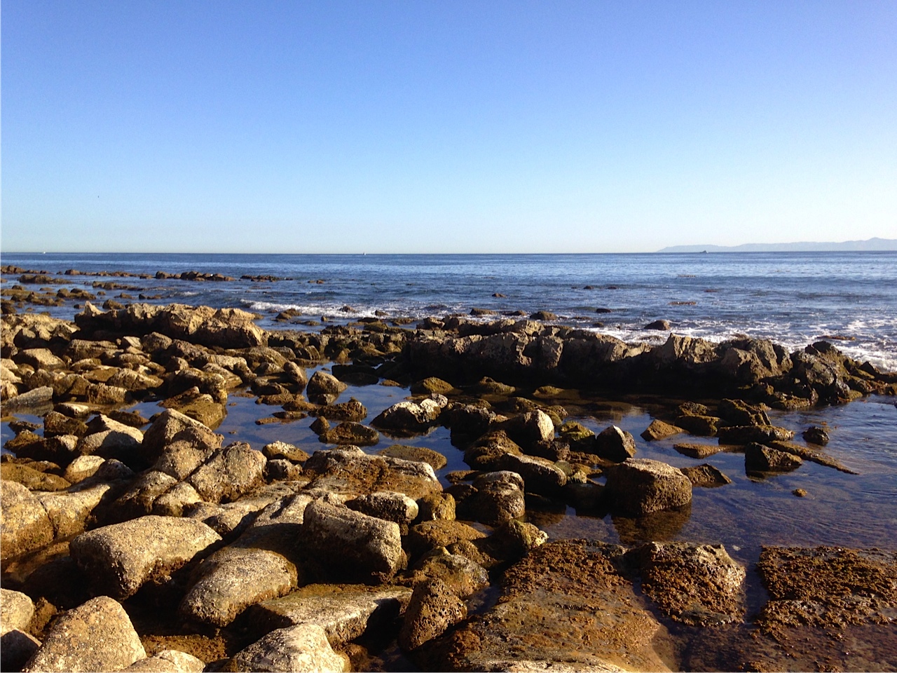 Catalina On The Horizon
