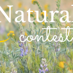 aLA Natural contest